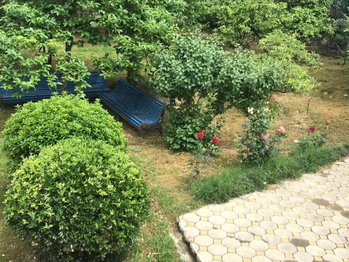 Guest House Dali Gagra Exterior foto